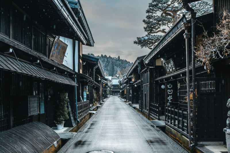 木々の間から日本の城の天守閣が見える様子。愛知・名古屋城